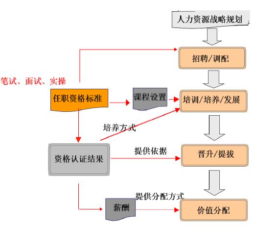 任職資格標準