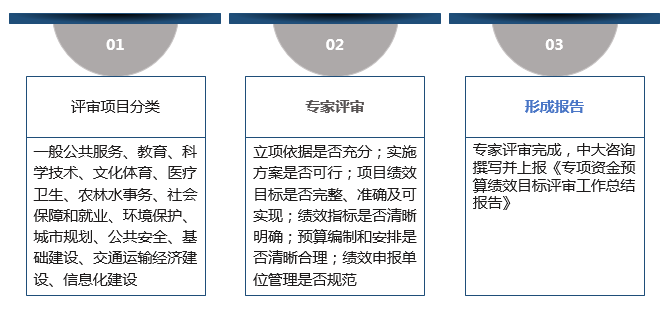 項目預算評審