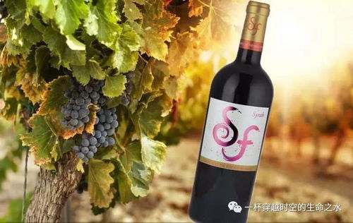 西班牙圣迪奧尼西奧紅酒莊產品目錄